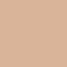 Invisible Oil Blocking Pressed Powder - 