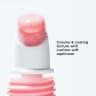 Lip Perfector - Rosewood Natural (06) - 