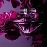 La Nuit Tresor Le Parfum - 