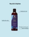 Dry & Itchy Conditioner - 