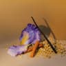 Tribal Elixir - 